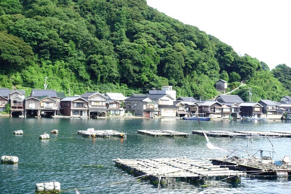 ▲日本京都赏枫。(图/凤凰旅行社提供)
