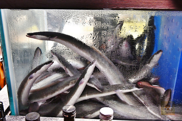 ▲大江户町鳗屋。(图/阿mon提供)