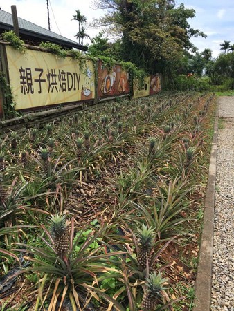 ▲桂花田糕点主题休闲园区。(图/取自《桂花田糕点主题休闲园区》脸书)