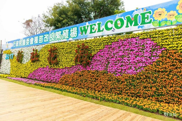 ▲新社花海。(图/好景点提供)