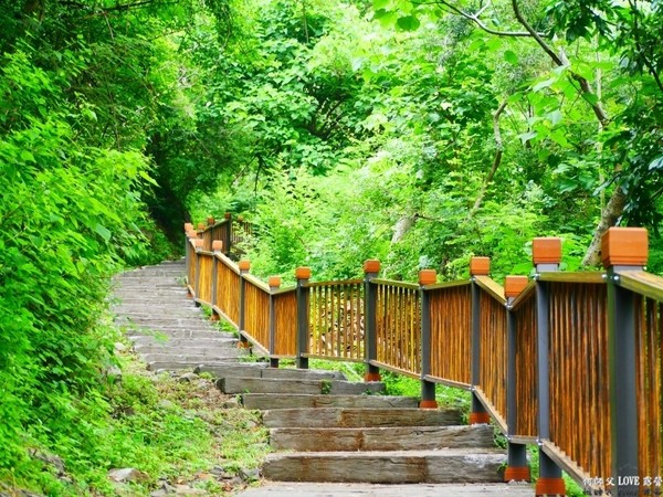 ▲屏东海豚茉莉湾海景露营地。(图/何师父提供)