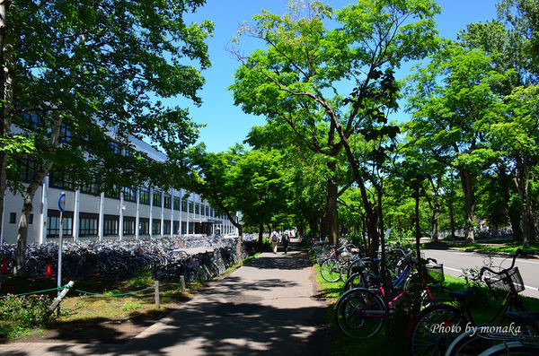 北海道大学。（图／摩那卡）