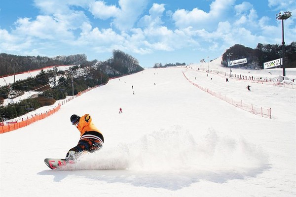 ▲日本韩国滑雪自助推荐。(图/tripbba提供)