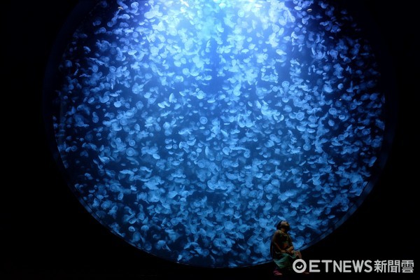 ▲加茂水族馆。(图/记者于佳云摄)