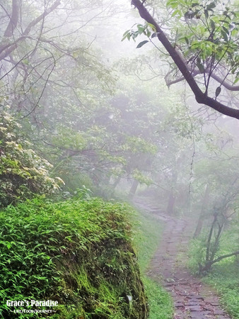 ▲台北秘境阳明山梦幻湖。(图/葛瑞丝提供)