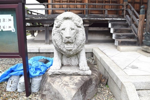 东京都葛饰区 证愿寺。(图/matcha提供)