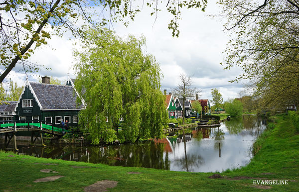 荷比卢自助12天----Zaanse Schans风车村。(图/Evangeline-Evan)