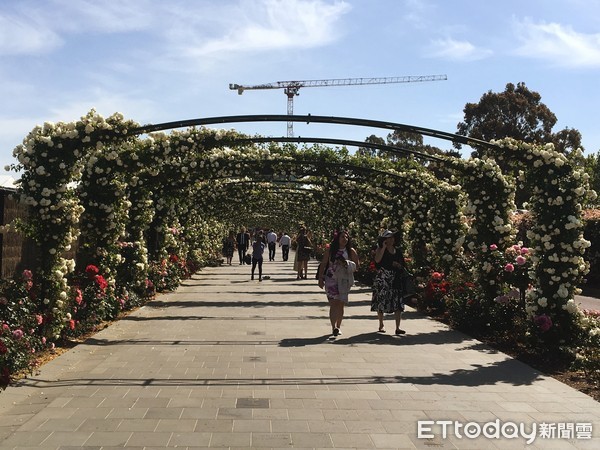 ▲墨尔本杯,Melbourne Cup,墨尔本赛马节,赛马,澳洲。(图/记者陈涵茵摄)