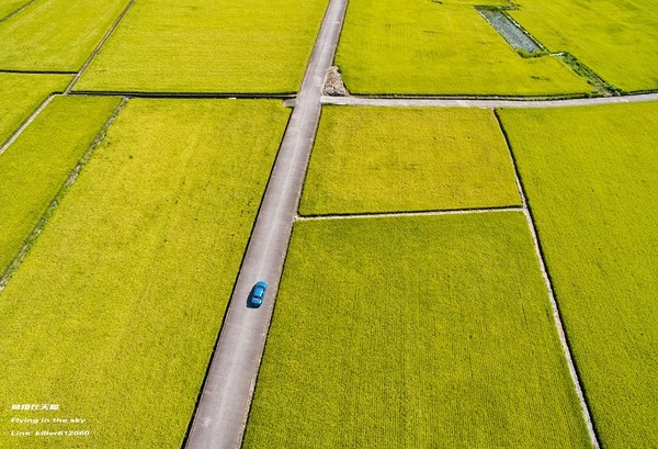 ▲台中外埔忘忧谷(图/摄影师《飞翔在天际》授权提供)