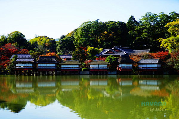 ▲日本长冈天满宫赏枫。（图／卡瓦纳提供）