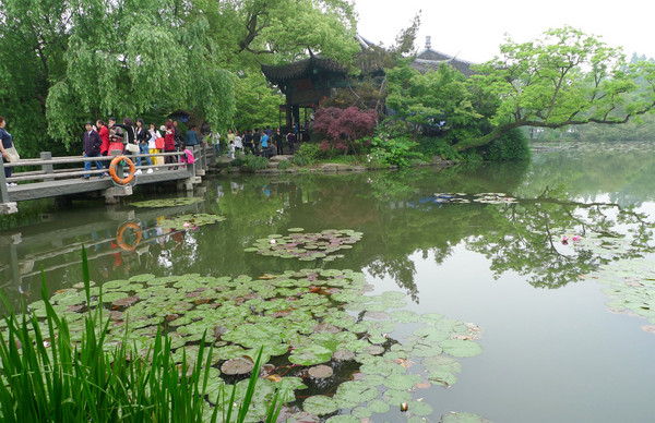 ▲金凤凰漫游江南。(图/凤凰旅行社提供)