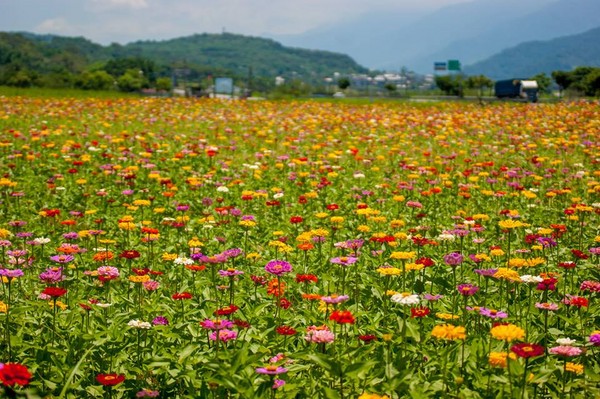 ▲%蓟??焕锇偃詹莼ê!#ㄍ迹?∽曰ǘ?莨裙?曳缇扒?芾泶α呈樽ㄒ常? width=
