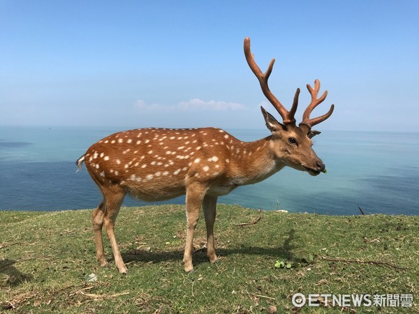 ▲马祖大Wu岛。（图／记者陈涵茵摄）