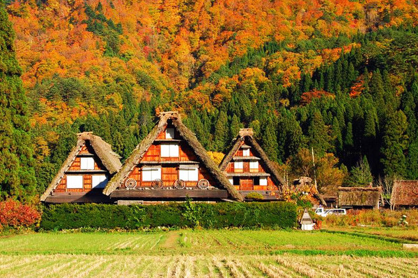 ▲不一样的枫红立山、黑部峡谷、上高地、合掌村。(图/翔笙旅游)