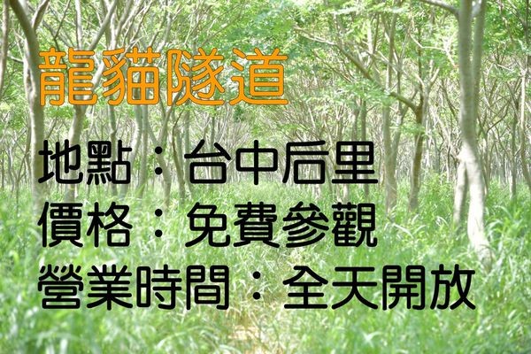 台中热门打卡景点。(图/SOLO的玩乐指南)