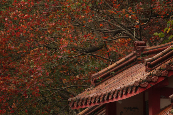 拱北殿(图/网友陈柏瑞提供,请勿随意翻拍,以免侵权。)