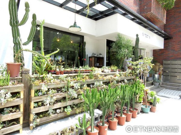 ▲多肉植物。（图／实习记者张舒芸摄）