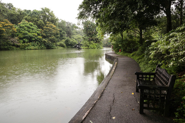新加坡旅游-新加坡植物园（图／记者林世文摄）