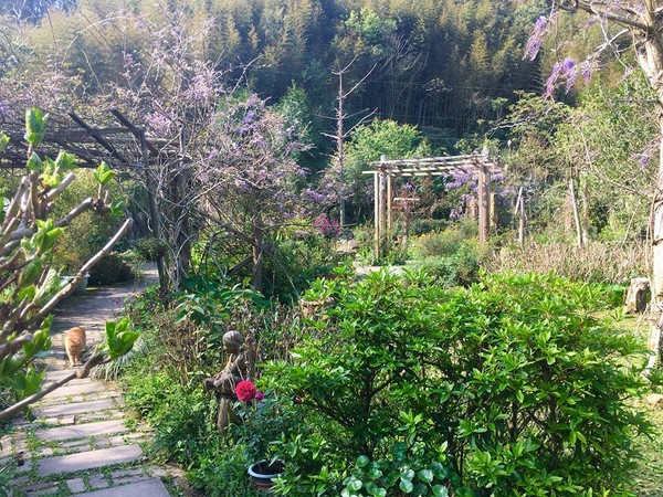 红蔷薇(图/翻摄自红蔷薇景观花园美食粉丝团)