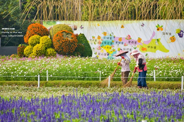 ▲2017新社花海空拍。(图/飞翔在天际粉丝专页提供)