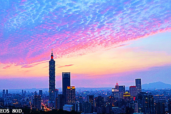 ▲台北101夜景虎山峰。(图/小白鲸摄)