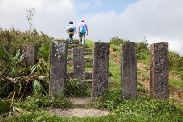 不止登高望海 还能与牛牛野餐