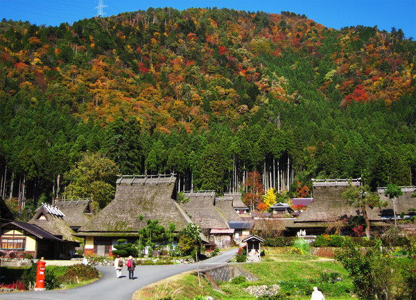 ▲日本京都赏枫。(图/凤凰旅行社提供)