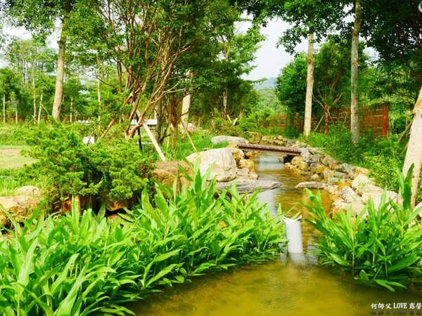 ▲森林蜂味亲子露营地 。（图／何师父提供）
