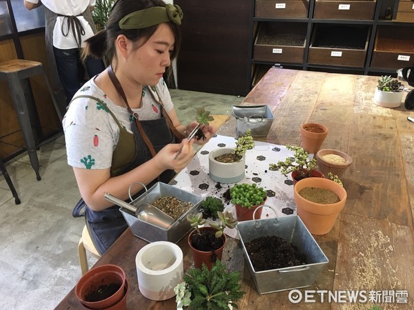 ▲多肉植物。（图／实习记者张舒芸摄）