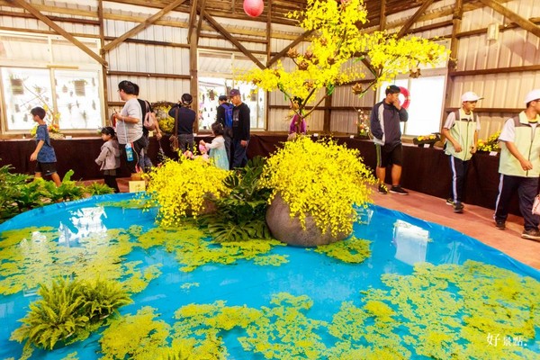 ▲新社花海。(图/好景点提供)