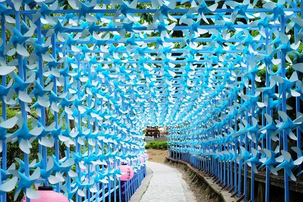 清境小瑞士花园风车节。(图/取自清境农场粉丝专页)