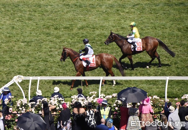 ▲墨尔本杯,Melbourne Cup,墨尔本赛马节,赛马,澳洲,弗莱明顿赛马场,Flemington Racecourse。(图/记者陈涵茵摄)