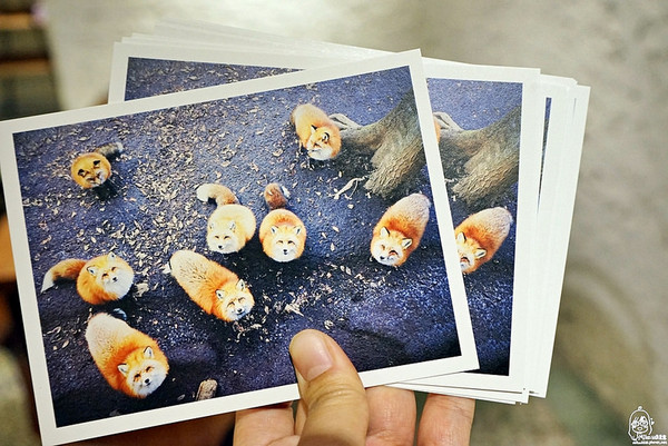 Match Neverland 默契咖啡二店。(图/MIKA)