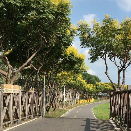 ▲台北市“赏栾树”景点。(图/网友提供,请勿随意翻拍,以免侵权。)