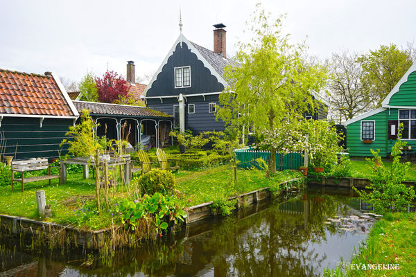 荷比卢自助12天----Zaanse Schans风车村。(图/Evangeline-Evan)