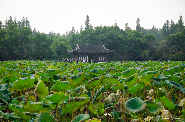 ▲杭州旅游 西湖十景。（图／Xavier元创主义提供）