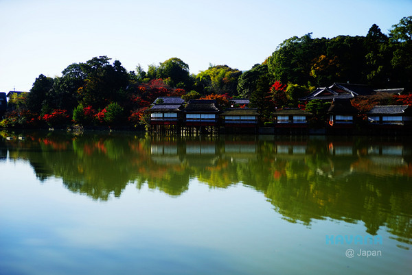 ▲日本长冈天满宫赏枫。（图／卡瓦纳提供）