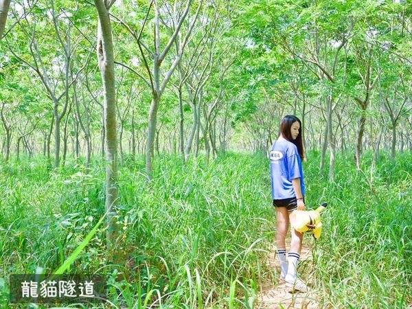 台中热门打卡景点。(图/SOLO的玩乐指南)