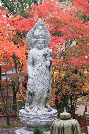 ▲美到失心枫!流转京都琵琶湖枫情。(图/凤凰旅游提供)