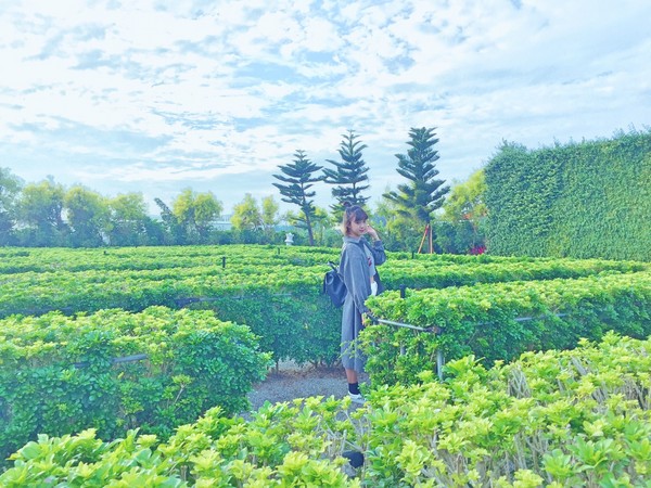 ▲彰化 探索.迷宫欧式庄园。(图/IG@zzzzzhizhihi提供,请勿随意翻拍,以免侵权。)