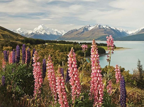 ▲新西兰之旅，亲临魔戒场景。（图／欧雅旅游提供）