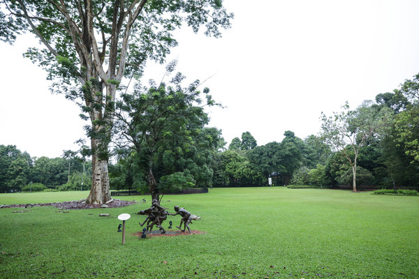新加坡旅游-新加坡植物园（图／记者林世文摄）