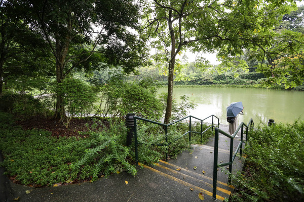 新加坡旅游-新加坡植物园（图／记者林世文摄）