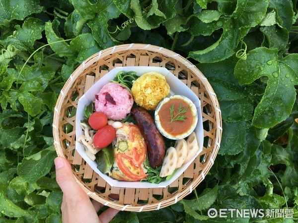 新北登山一日游。(图/新北市政府提供)