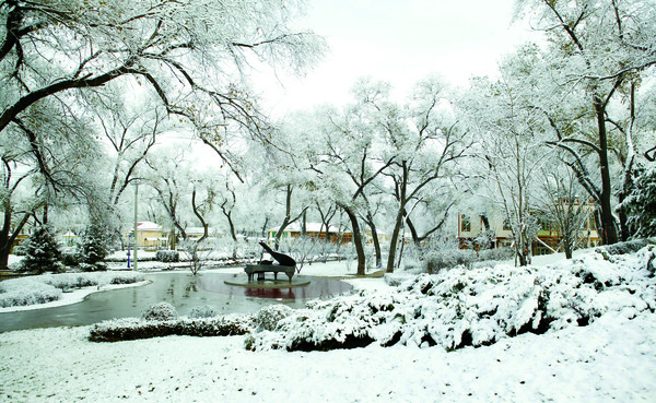 ▲哈尔滨冰雪节。(图/七逗旅游网提供)