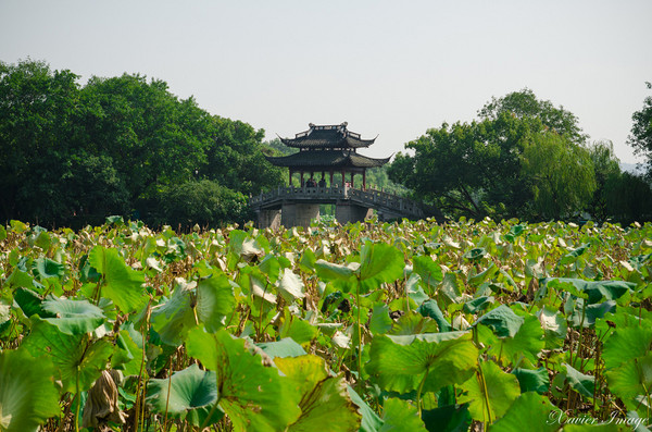 ▲杭州旅游 西湖十景。（图／Xavier元创主义提供）