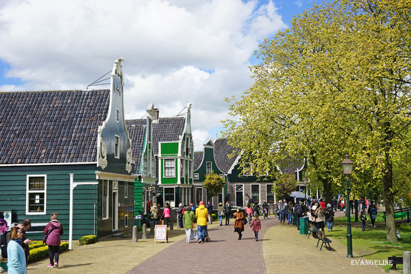 荷比卢自助12天----Zaanse Schans风车村。(图/Evangeline-Evan)