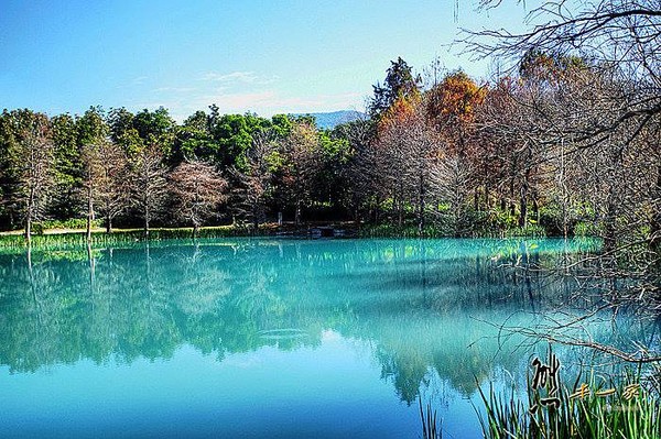花莲云山水梦幻湖(图/取自云山水粉丝专页)
