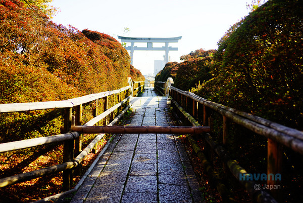▲日本长冈天满宫赏枫。（图／卡瓦纳提供）
