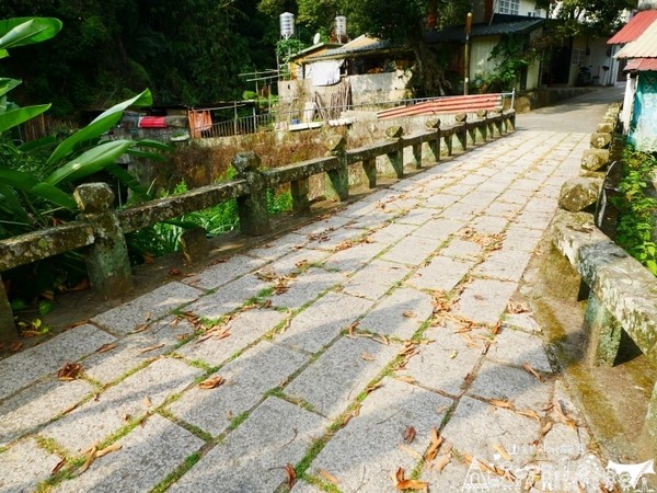 ▲苗栗大坪左岸亲子露营地。(图/何师父提供)